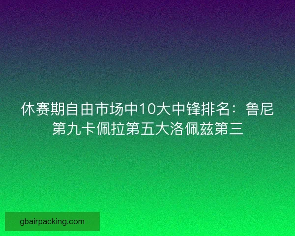 休赛期自由市场中10大中锋排名：鲁尼第九卡佩拉第五大洛佩兹第三